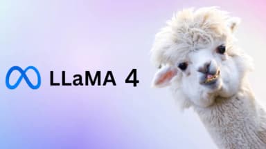 Llama3-3-70b example